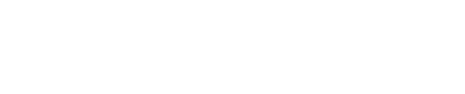 Welcome Travel Network